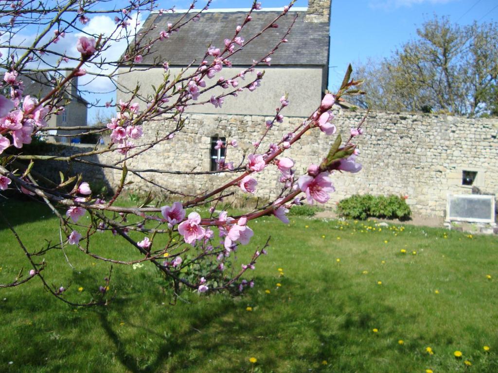 La Maison Claire Longueville  Exteriér fotografie