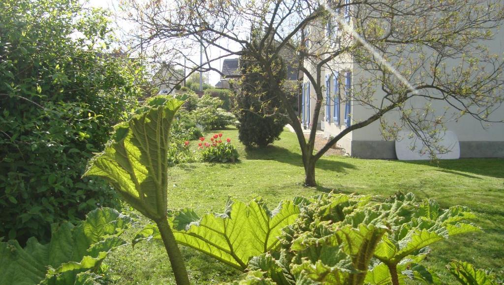 La Maison Claire Longueville  Exteriér fotografie